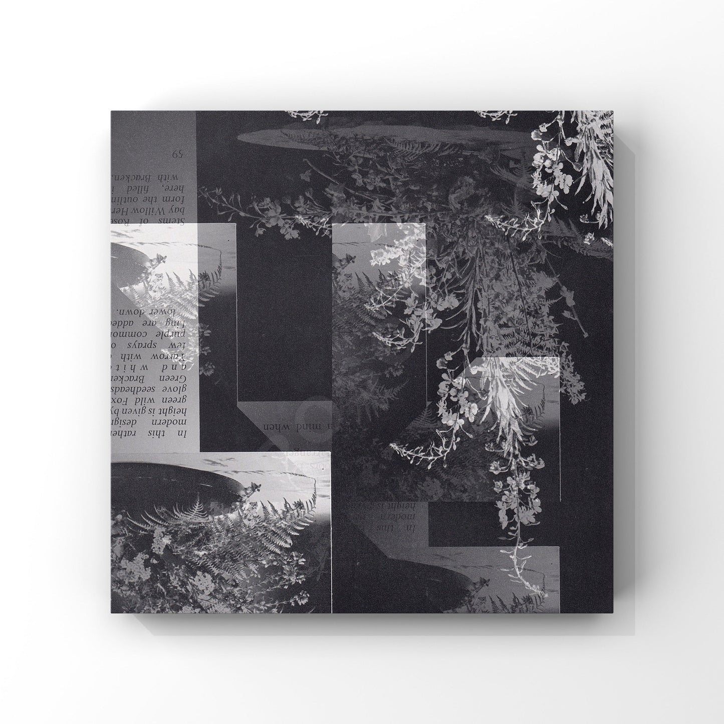 Square mockup of cover art showcasing an intriguing black and white vintage flower book collage with geometric layers, intended for musicians looking for distinctive and refined cover designs.